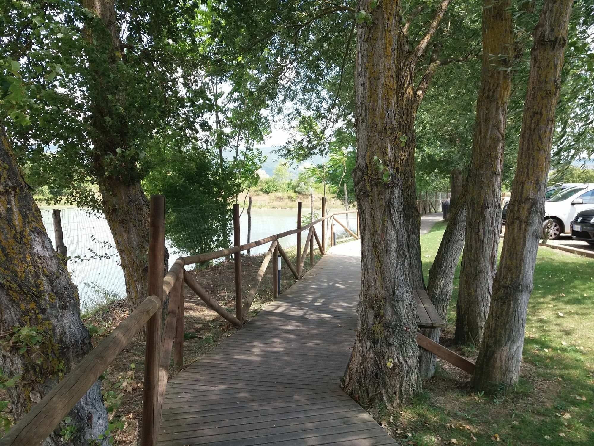Cameracaffe Sul Arezzo